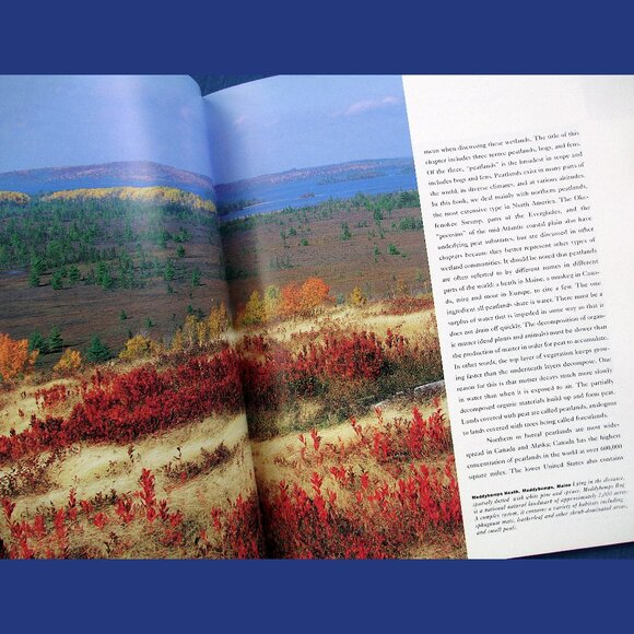 Book - Wetlands: The Web of Life, by Paul Rezendes and Paulette Roy - Picture 10 of 13